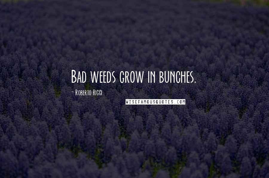 Roberto Ricci Quotes: Bad weeds grow in bunches.