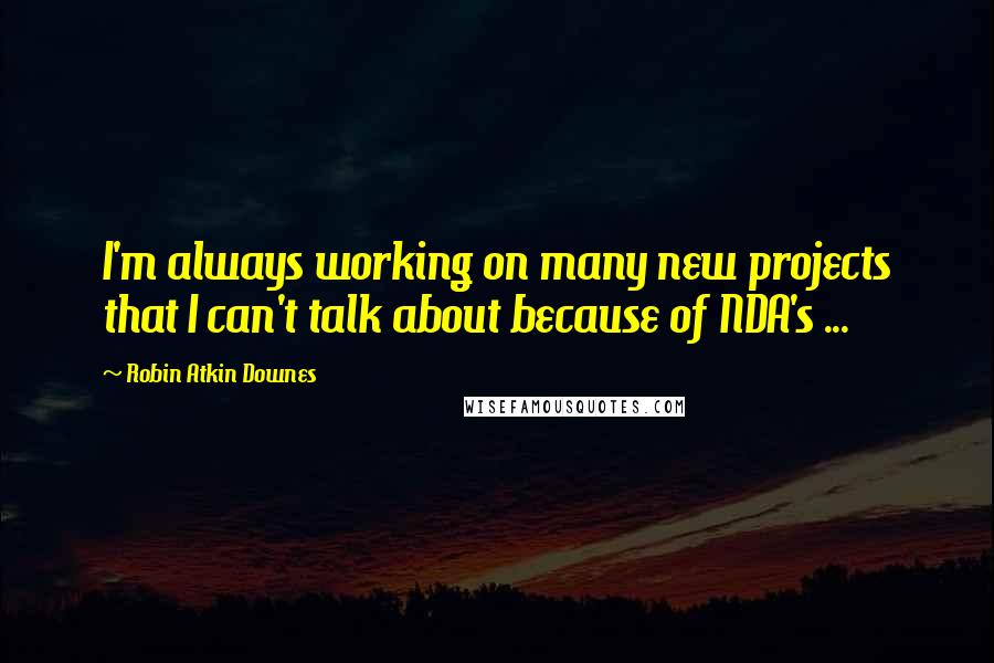 Robin Atkin Downes Quotes: I'm always working on many new projects that I can't talk about because of NDA's ...