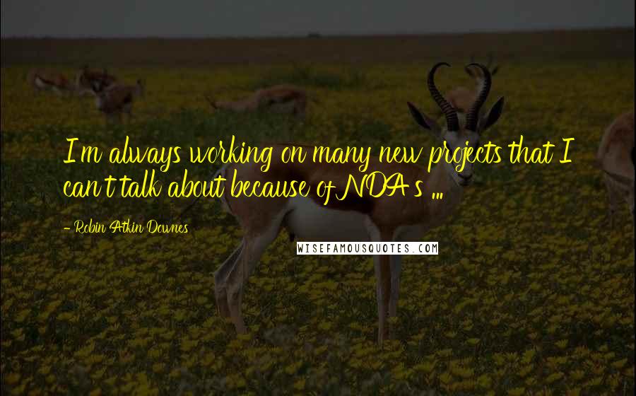 Robin Atkin Downes Quotes: I'm always working on many new projects that I can't talk about because of NDA's ...