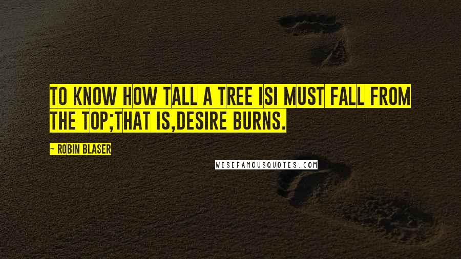 Robin Blaser Quotes: to know how tall a tree isI must fall from the top;that is,desire burns.