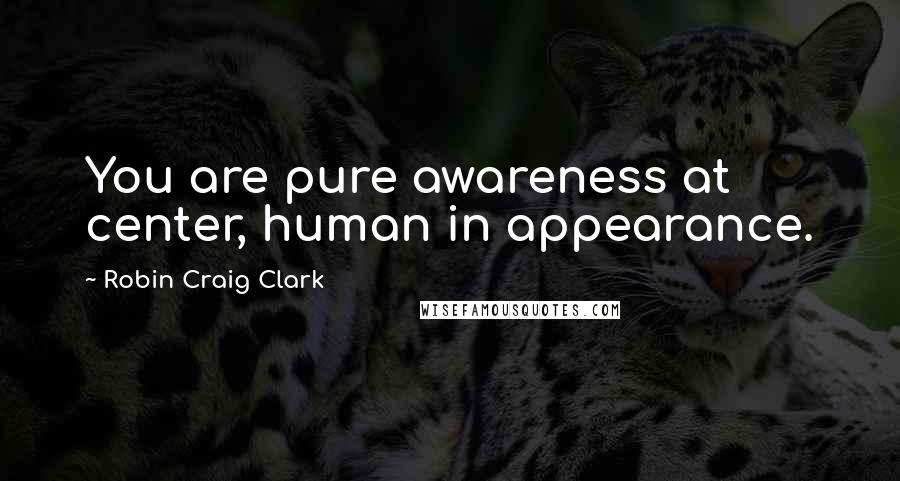 Robin Craig Clark Quotes: You are pure awareness at center, human in appearance.