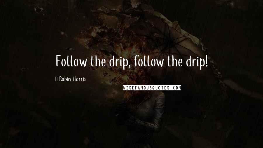 Robin Harris Quotes: Follow the drip, follow the drip!