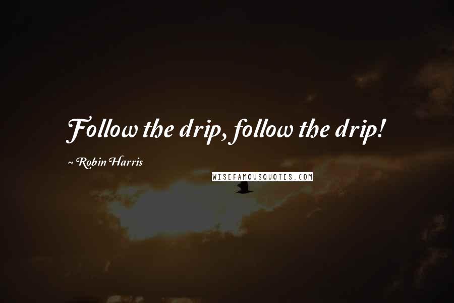 Robin Harris Quotes: Follow the drip, follow the drip!