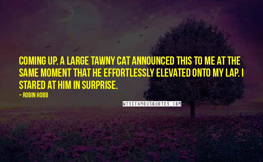 Robin Hobb Quotes: Coming up. A large tawny cat announced this to me at the same moment that he effortlessly elevated onto my lap. I stared at him in surprise.