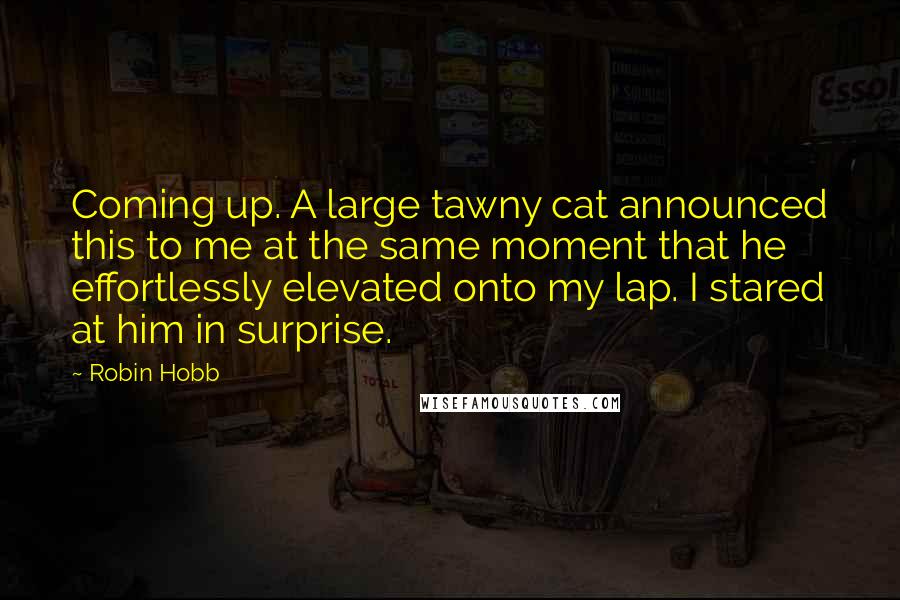 Robin Hobb Quotes: Coming up. A large tawny cat announced this to me at the same moment that he effortlessly elevated onto my lap. I stared at him in surprise.