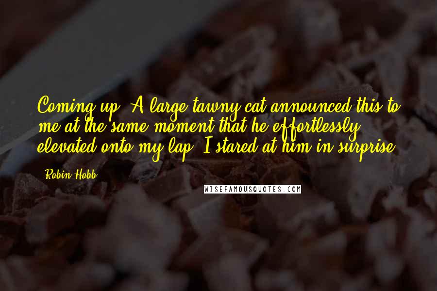 Robin Hobb Quotes: Coming up. A large tawny cat announced this to me at the same moment that he effortlessly elevated onto my lap. I stared at him in surprise.