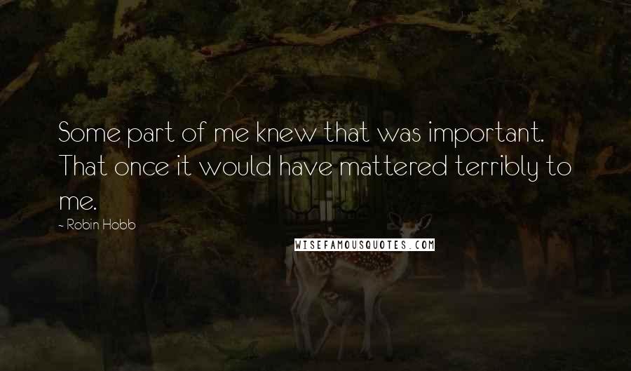 Robin Hobb Quotes: Some part of me knew that was important. That once it would have mattered terribly to me.