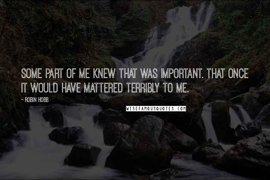 Robin Hobb Quotes: Some part of me knew that was important. That once it would have mattered terribly to me.