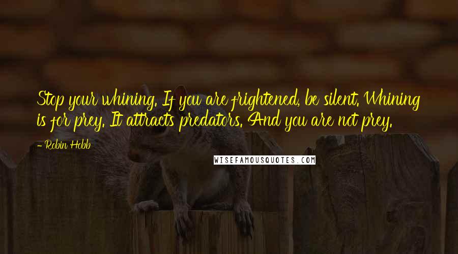 Robin Hobb Quotes: Stop your whining. If you are frightened, be silent. Whining is for prey. It attracts predators. And you are not prey.