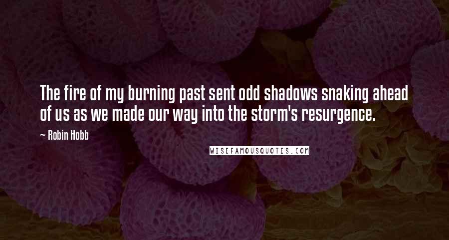 Robin Hobb Quotes: The fire of my burning past sent odd shadows snaking ahead of us as we made our way into the storm's resurgence.