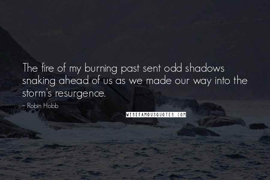 Robin Hobb Quotes: The fire of my burning past sent odd shadows snaking ahead of us as we made our way into the storm's resurgence.