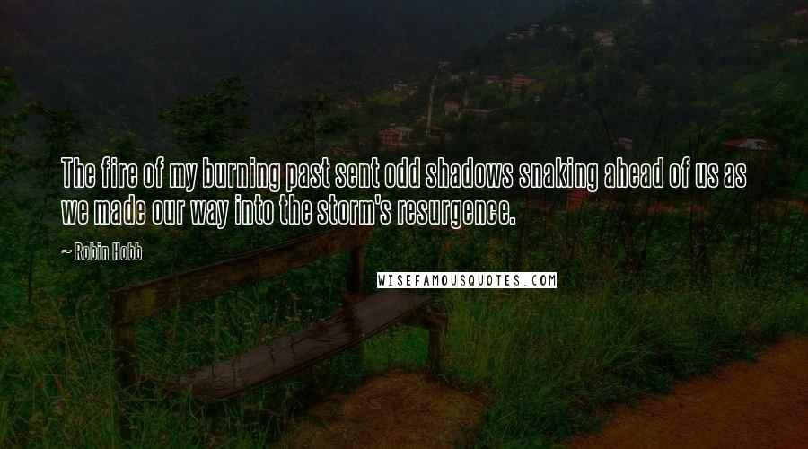 Robin Hobb Quotes: The fire of my burning past sent odd shadows snaking ahead of us as we made our way into the storm's resurgence.
