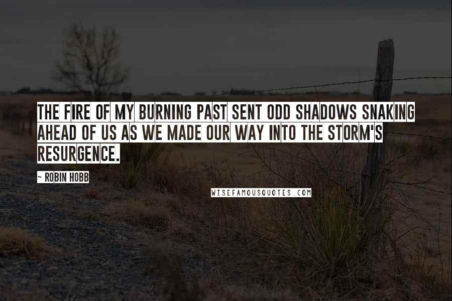 Robin Hobb Quotes: The fire of my burning past sent odd shadows snaking ahead of us as we made our way into the storm's resurgence.