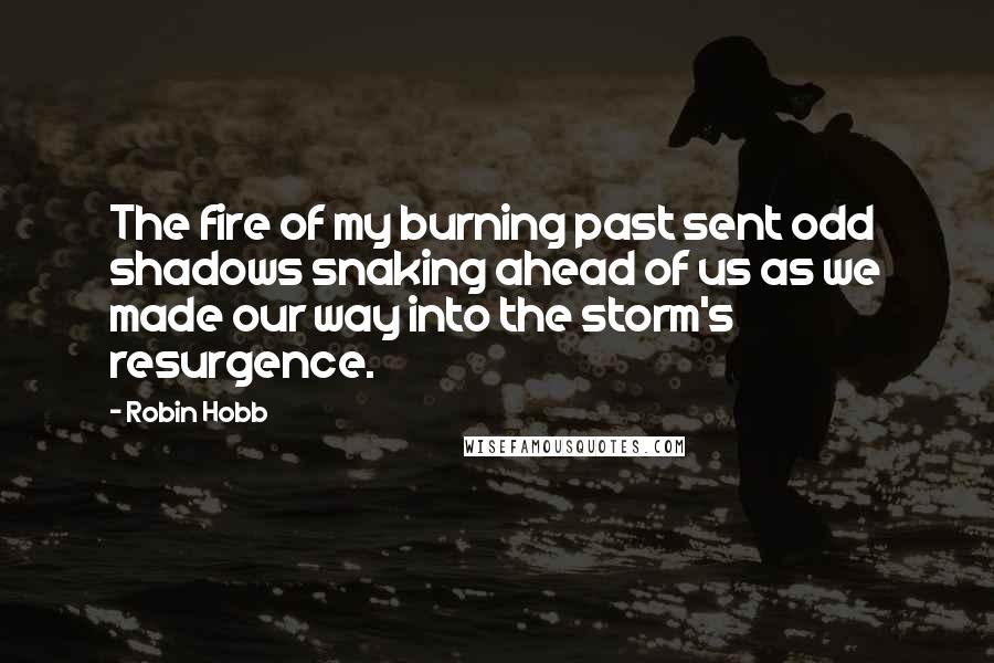 Robin Hobb Quotes: The fire of my burning past sent odd shadows snaking ahead of us as we made our way into the storm's resurgence.
