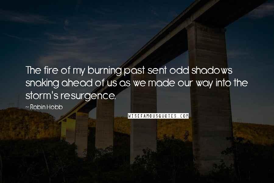 Robin Hobb Quotes: The fire of my burning past sent odd shadows snaking ahead of us as we made our way into the storm's resurgence.
