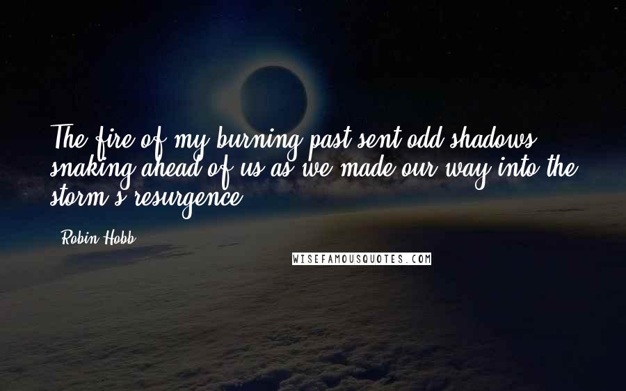 Robin Hobb Quotes: The fire of my burning past sent odd shadows snaking ahead of us as we made our way into the storm's resurgence.