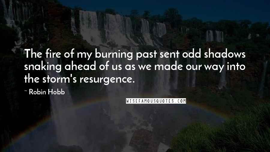 Robin Hobb Quotes: The fire of my burning past sent odd shadows snaking ahead of us as we made our way into the storm's resurgence.