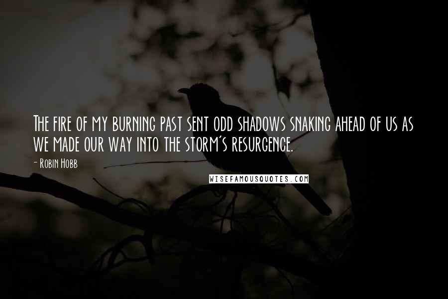 Robin Hobb Quotes: The fire of my burning past sent odd shadows snaking ahead of us as we made our way into the storm's resurgence.
