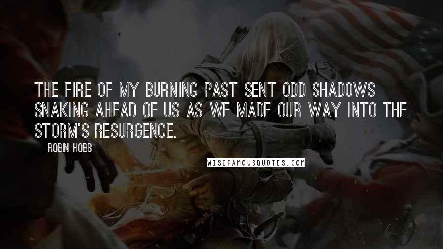 Robin Hobb Quotes: The fire of my burning past sent odd shadows snaking ahead of us as we made our way into the storm's resurgence.