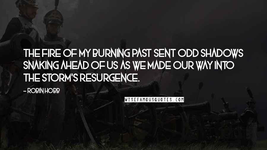 Robin Hobb Quotes: The fire of my burning past sent odd shadows snaking ahead of us as we made our way into the storm's resurgence.