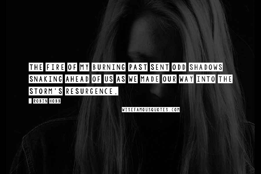 Robin Hobb Quotes: The fire of my burning past sent odd shadows snaking ahead of us as we made our way into the storm's resurgence.