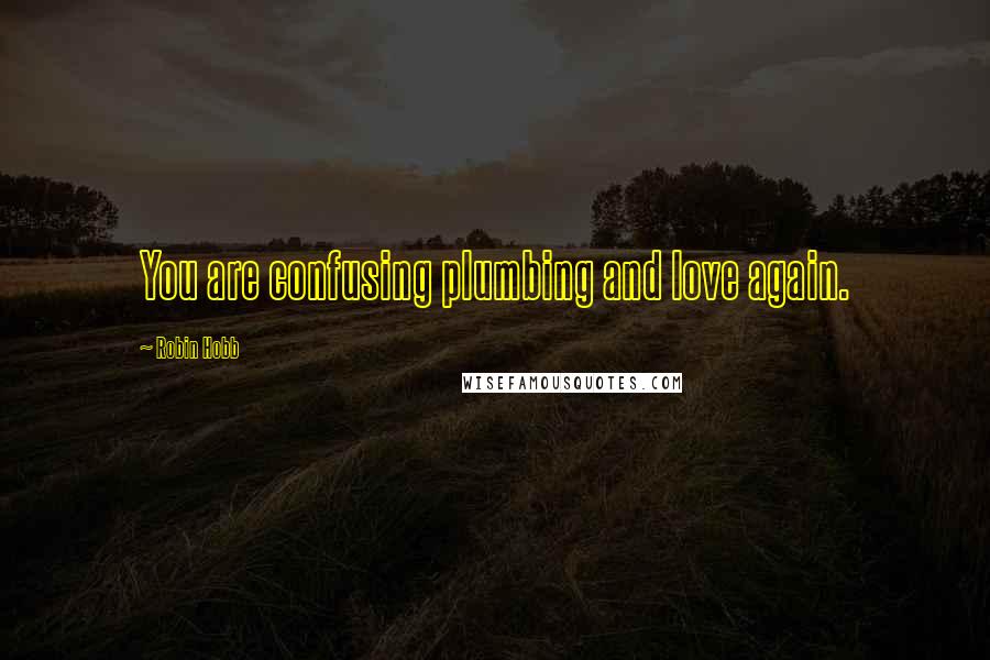 Robin Hobb Quotes: You are confusing plumbing and love again.