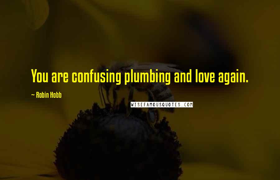 Robin Hobb Quotes: You are confusing plumbing and love again.