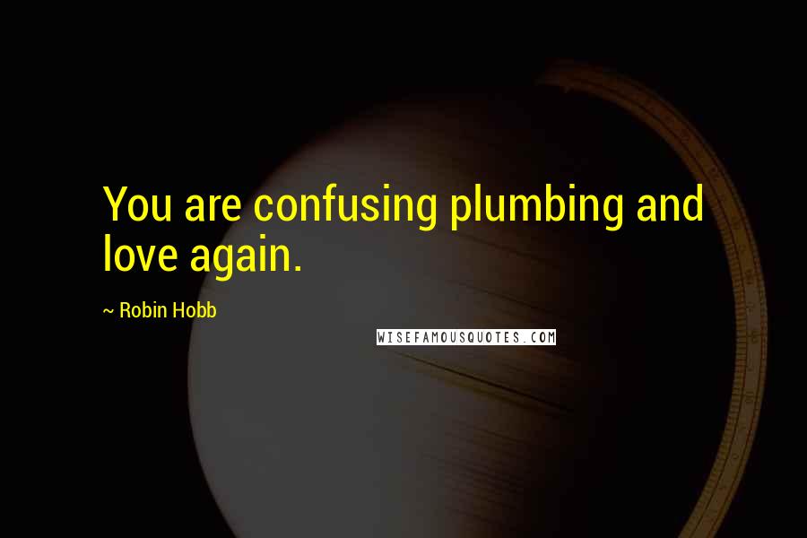 Robin Hobb Quotes: You are confusing plumbing and love again.