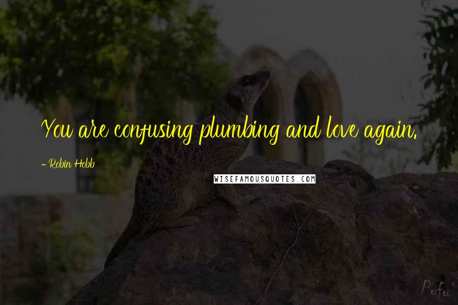 Robin Hobb Quotes: You are confusing plumbing and love again.