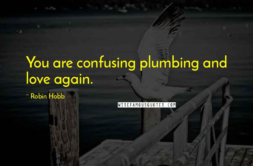 Robin Hobb Quotes: You are confusing plumbing and love again.