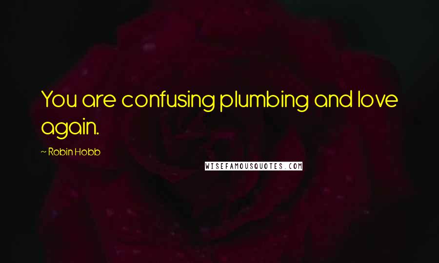 Robin Hobb Quotes: You are confusing plumbing and love again.