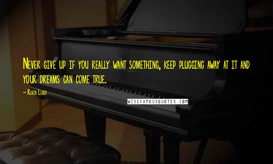 Robin Leach Quotes: Never give up if you really want something, keep plugging away at it and your dreams can come true.