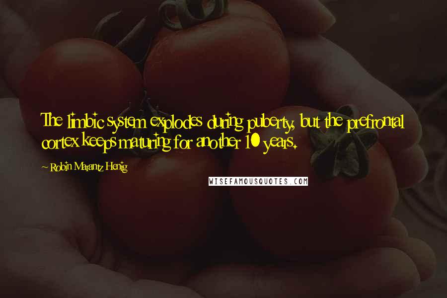 Robin Marantz Henig Quotes: The limbic system explodes during puberty, but the prefrontal cortex keeps maturing for another 10 years.