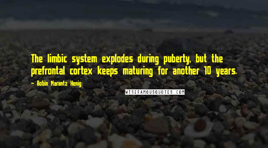 Robin Marantz Henig Quotes: The limbic system explodes during puberty, but the prefrontal cortex keeps maturing for another 10 years.