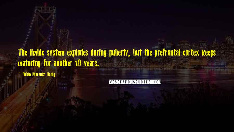 Robin Marantz Henig Quotes: The limbic system explodes during puberty, but the prefrontal cortex keeps maturing for another 10 years.