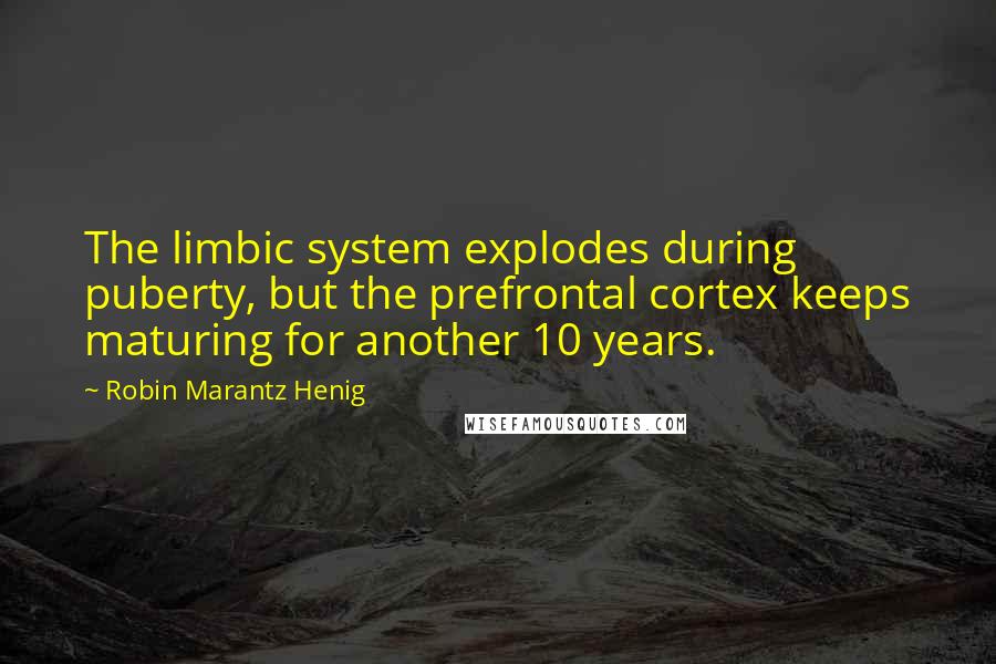 Robin Marantz Henig Quotes: The limbic system explodes during puberty, but the prefrontal cortex keeps maturing for another 10 years.