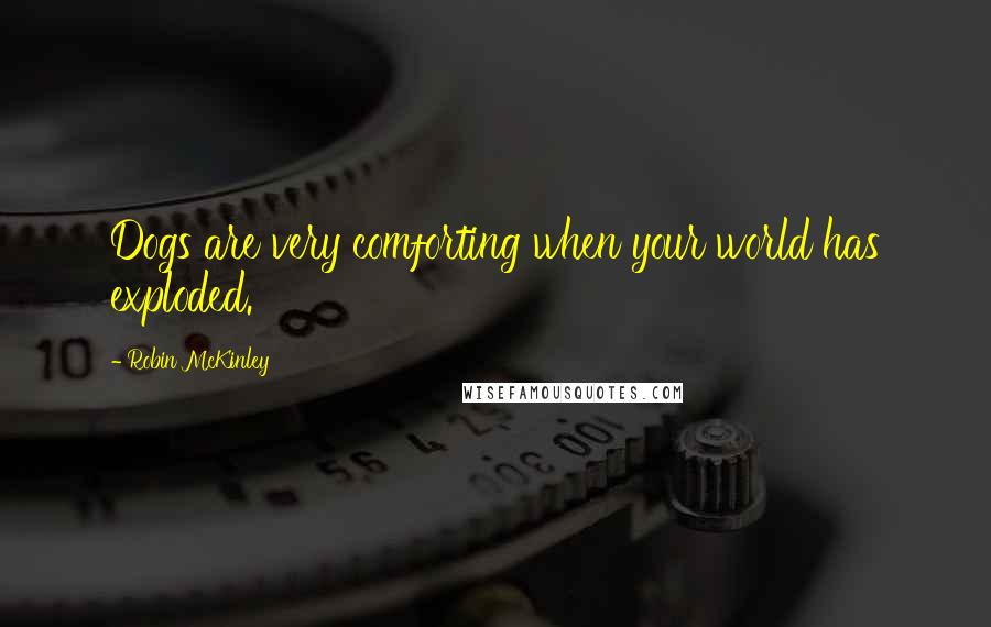 Robin McKinley Quotes: Dogs are very comforting when your world has exploded.