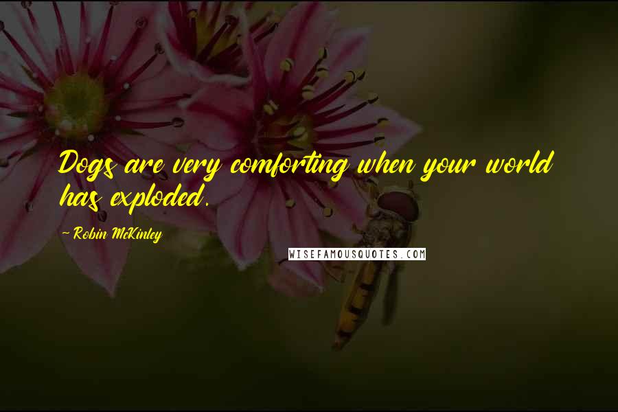 Robin McKinley Quotes: Dogs are very comforting when your world has exploded.