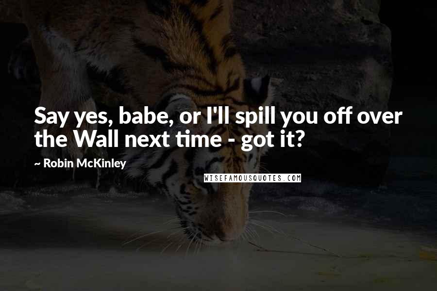 Robin McKinley Quotes: Say yes, babe, or I'll spill you off over the Wall next time - got it?