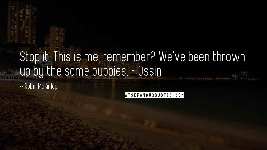 Robin McKinley Quotes: Stop it. This is me, remember? We've been thrown up by the same puppies. - Ossin