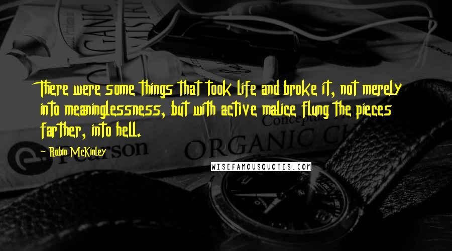 Robin McKinley Quotes: There were some things that took life and broke it, not merely into meaninglessness, but with active malice flung the pieces farther, into hell.