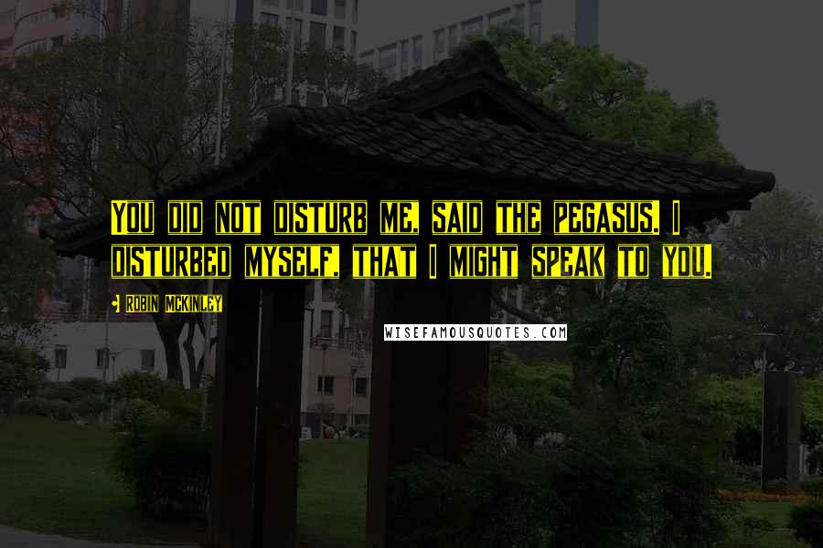 Robin McKinley Quotes: You did not disturb me, said the pegasus. I disturbed myself, that I might speak to you.