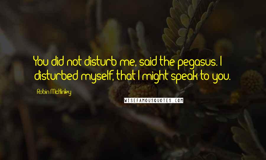 Robin McKinley Quotes: You did not disturb me, said the pegasus. I disturbed myself, that I might speak to you.