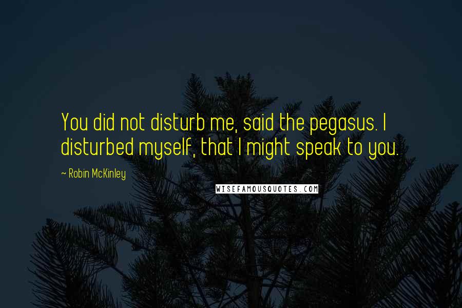 Robin McKinley Quotes: You did not disturb me, said the pegasus. I disturbed myself, that I might speak to you.