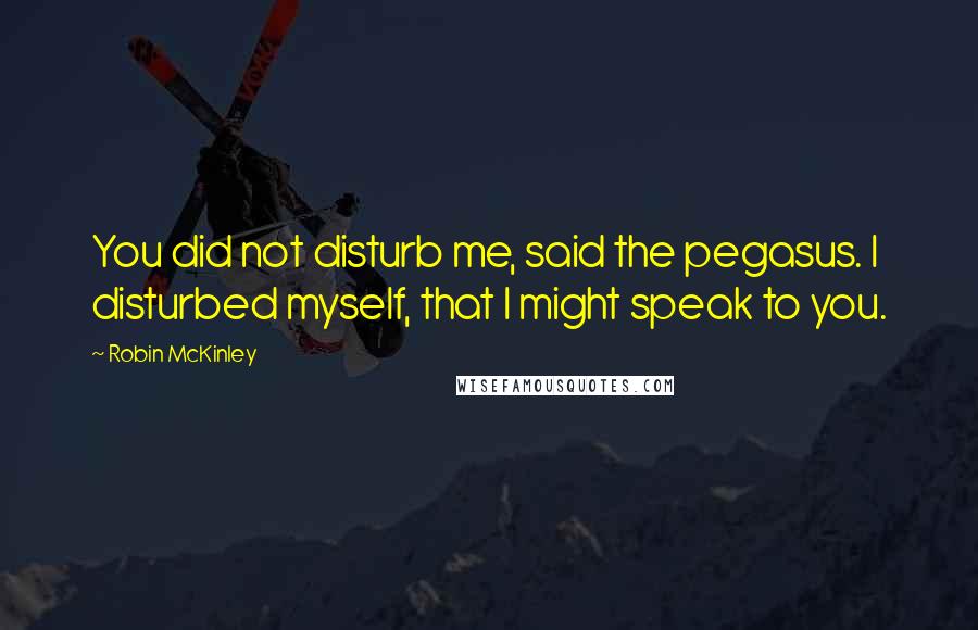 Robin McKinley Quotes: You did not disturb me, said the pegasus. I disturbed myself, that I might speak to you.