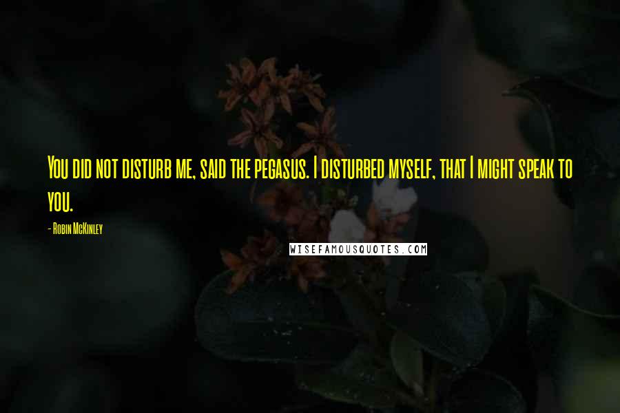Robin McKinley Quotes: You did not disturb me, said the pegasus. I disturbed myself, that I might speak to you.