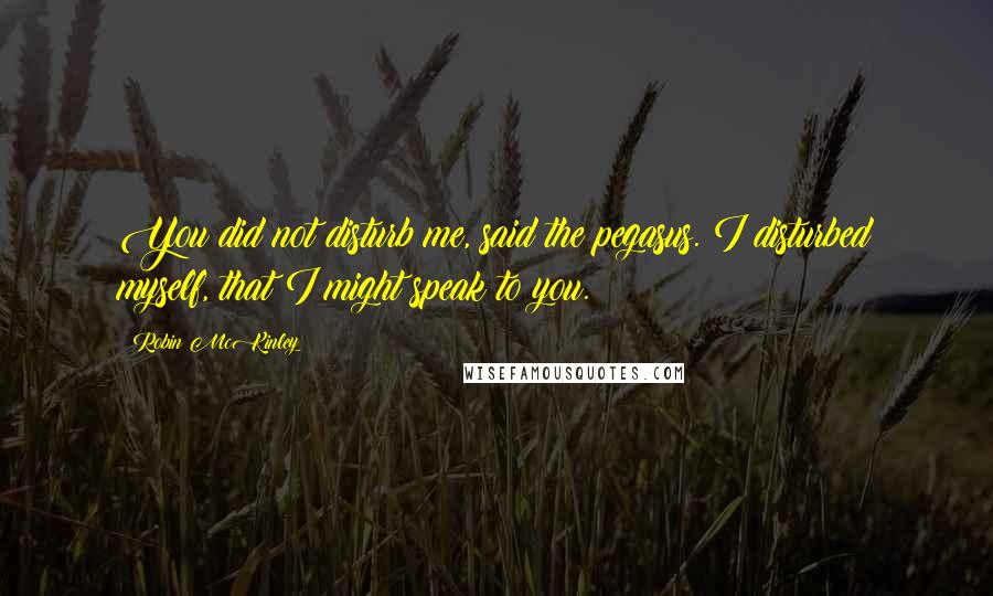 Robin McKinley Quotes: You did not disturb me, said the pegasus. I disturbed myself, that I might speak to you.