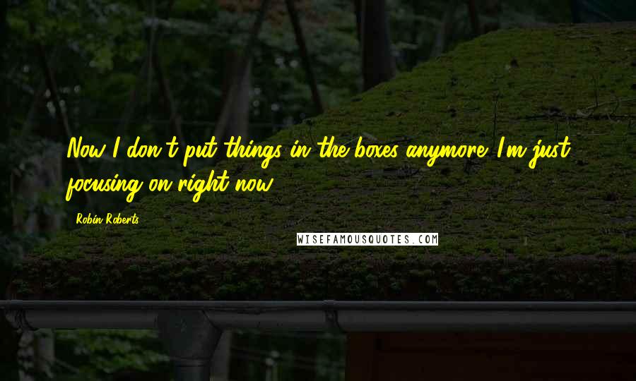 Robin Roberts Quotes: Now I don't put things in the boxes anymore. I'm just focusing on right now.