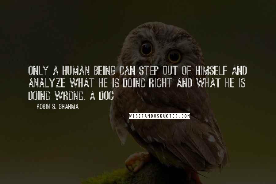 Robin S. Sharma Quotes: Only a human being can step out of himself and analyze what he is doing right and what he is doing wrong. A dog
