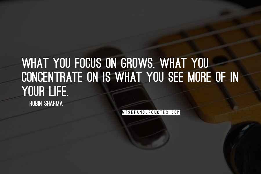 Robin Sharma Quotes: What you focus on grows. What you concentrate on is what you see more of in your life.